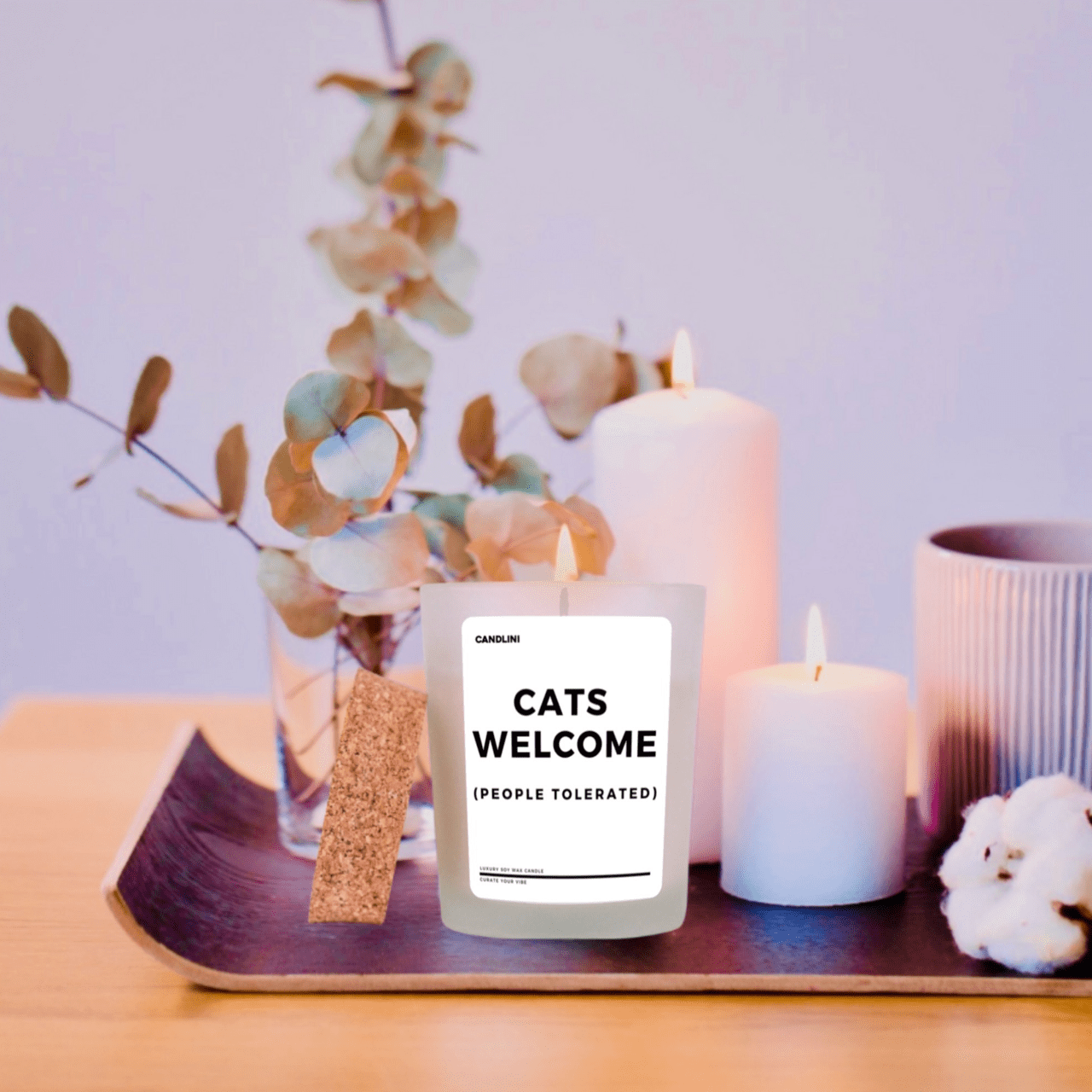 Cats Welcome