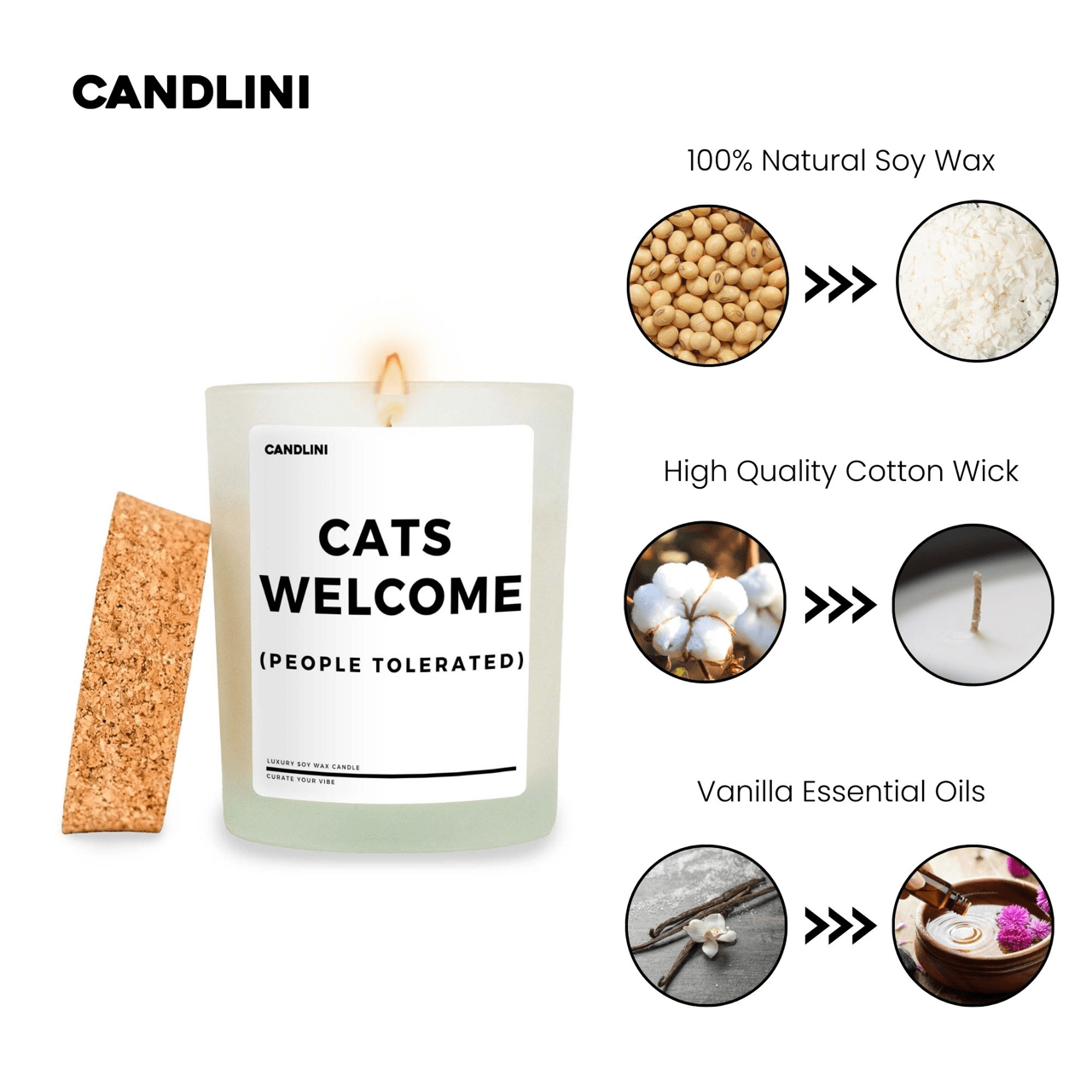 Cats Welcome