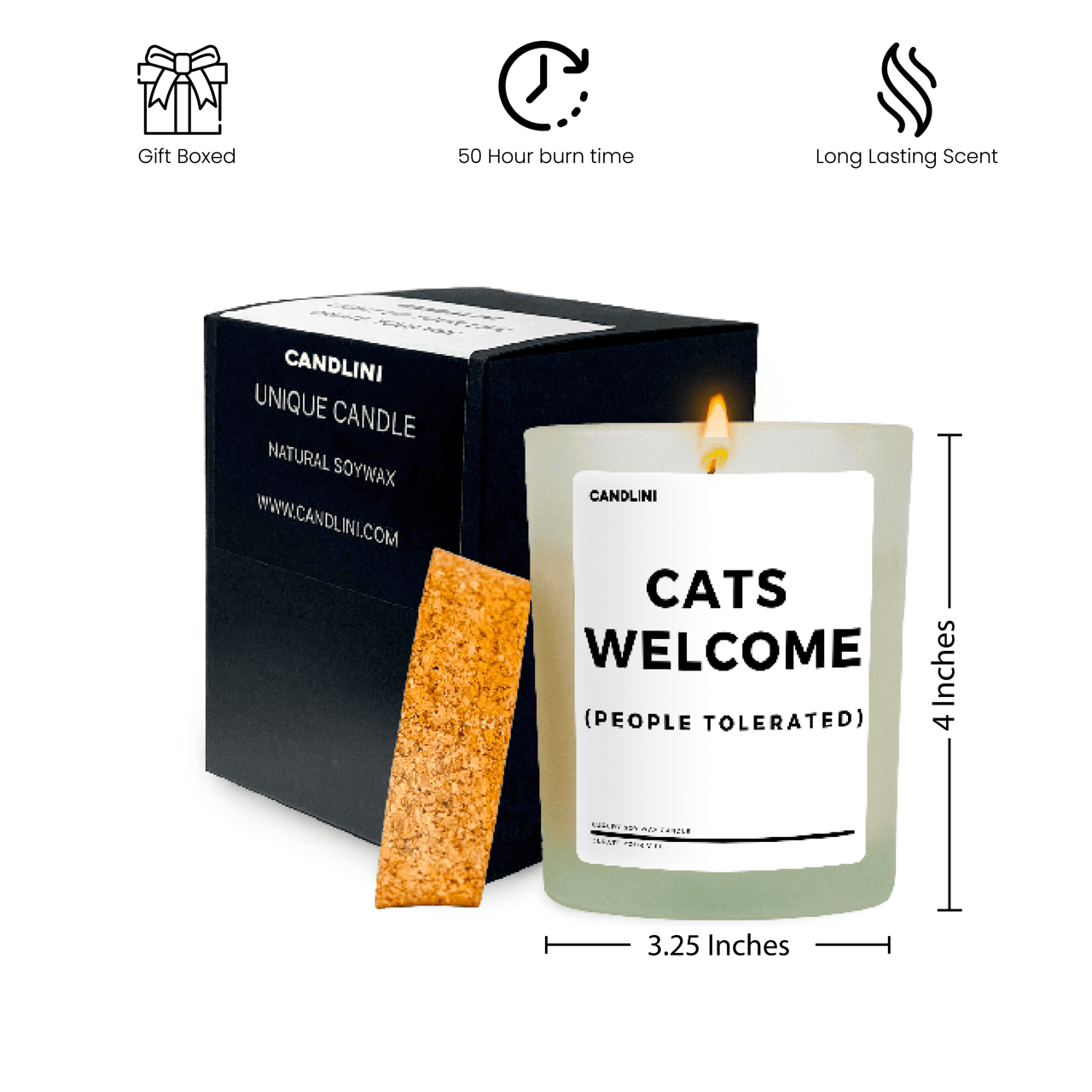 Cats Welcome