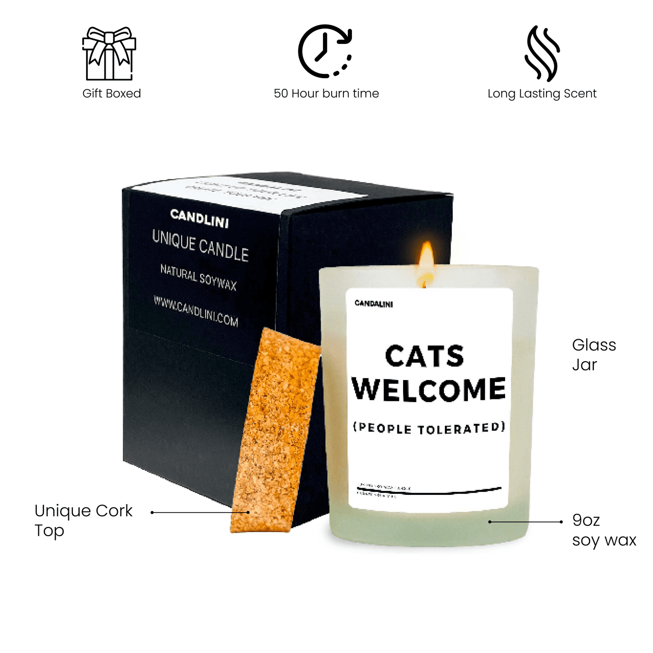 Cats Welcome