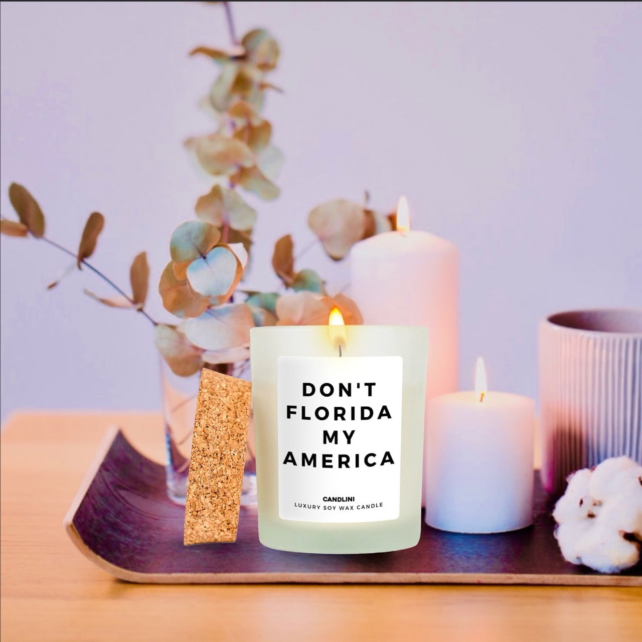 Don't Florida My America